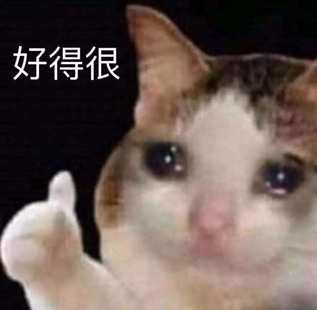 流泪猫猫头 表情包 - 知乎