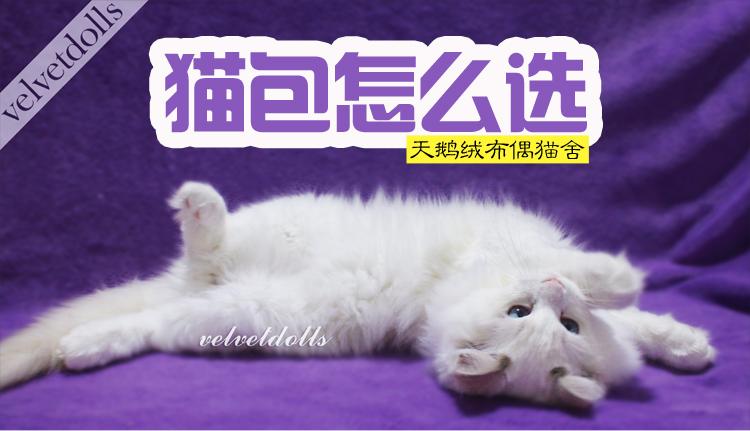 v2-565dd6f4936be18d2bb153b732055e76_1440w.jpg?source=172ae18b