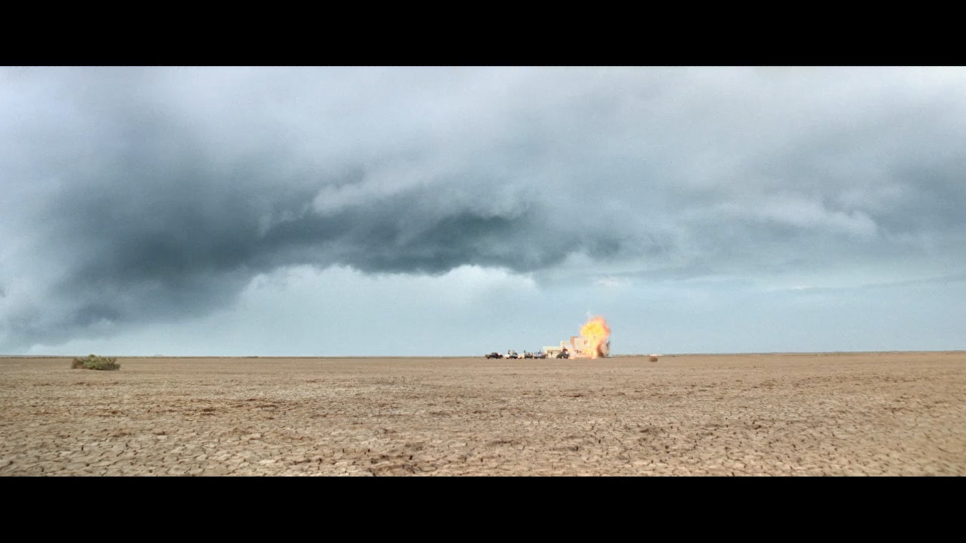 [192-《候鸟》-"野草,坟墓,繁荣,战争,地狱边缘"]