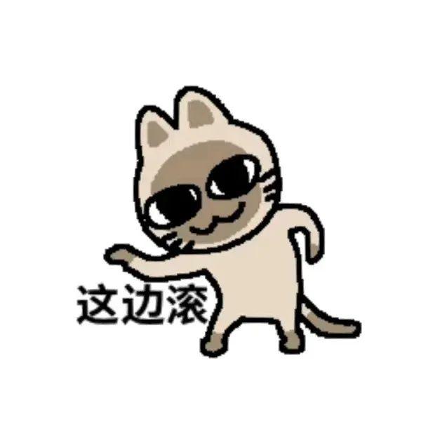 暹罗厘普表情包 - 知乎