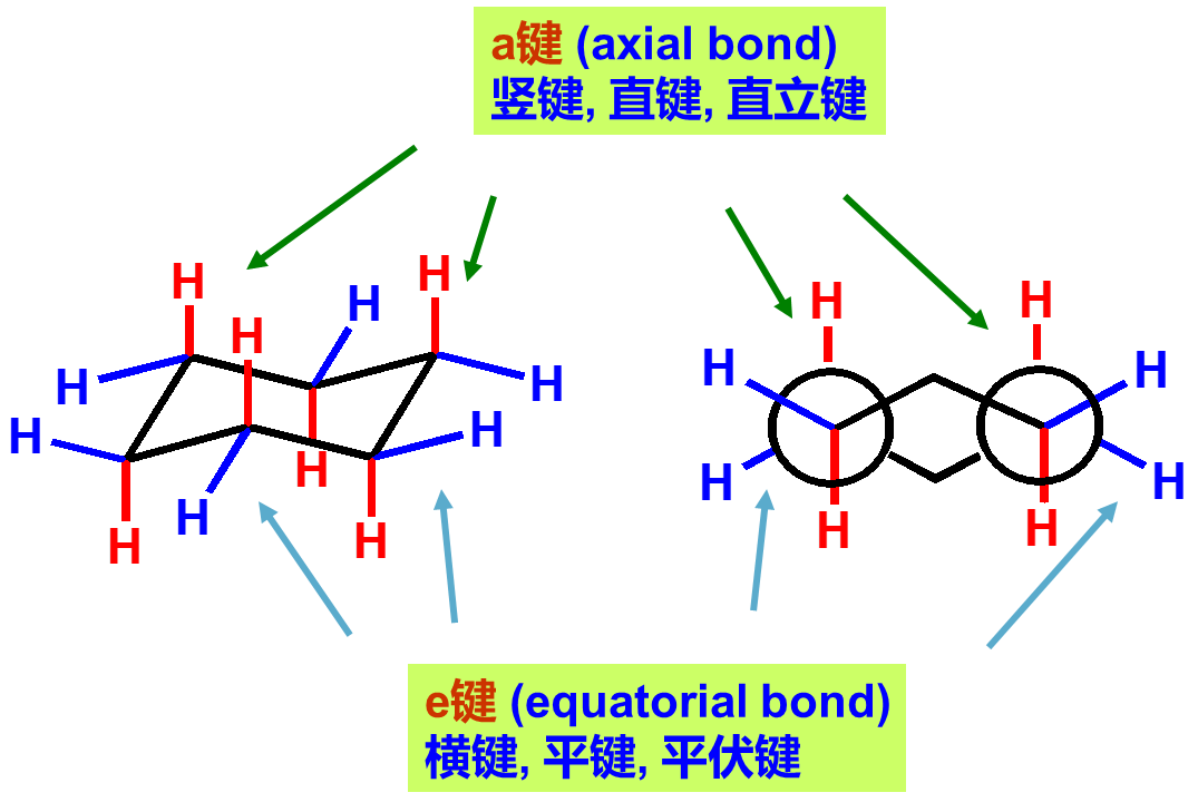而e键转变为a键取代环己烷单取代一取代环己烷的取代基在e键上的构象