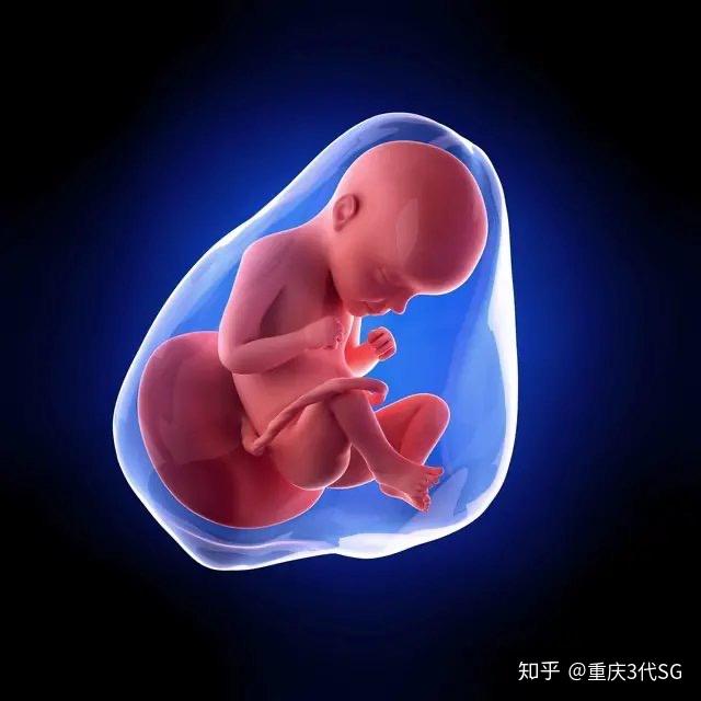 v2-56a8a1ff7d5304867f7daa9c1e2e3019_r.jpg