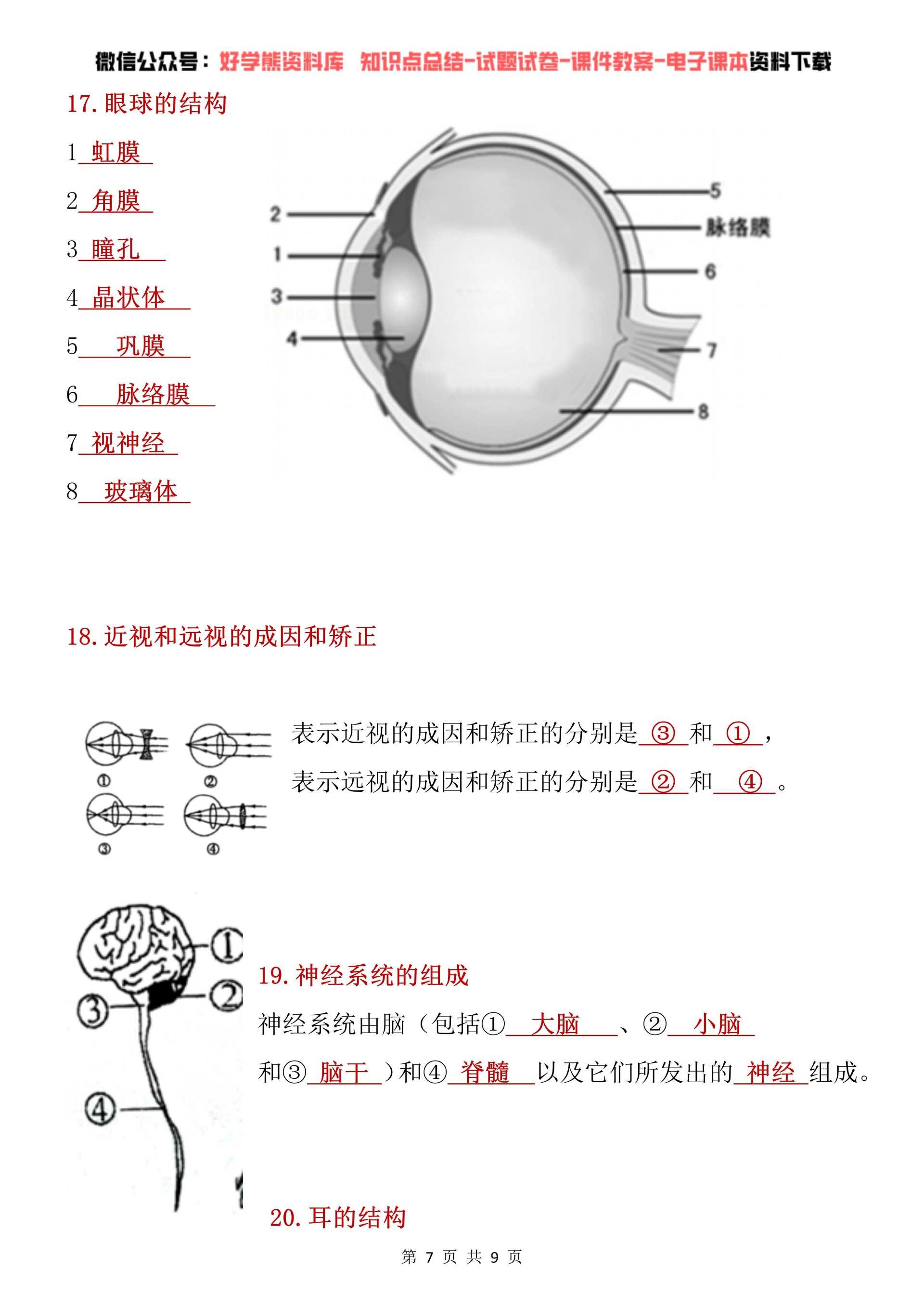 七下生物示意图图片