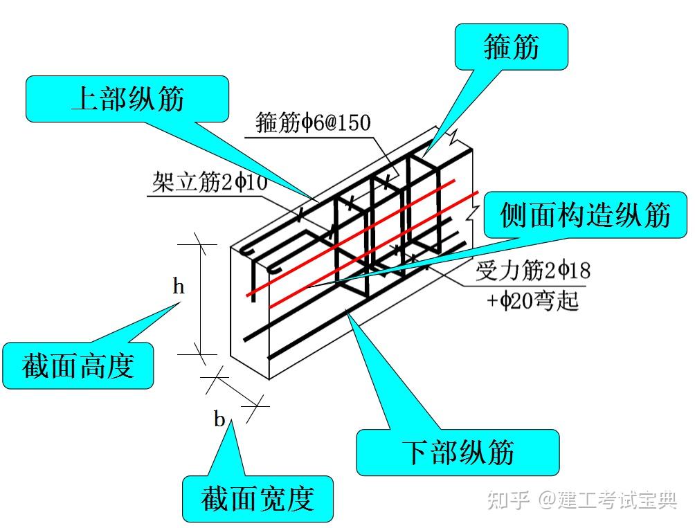 梁的钢筋构造示意图图片