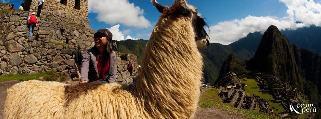 上下五千年,秘鲁居然是地球另一端的文明古国?