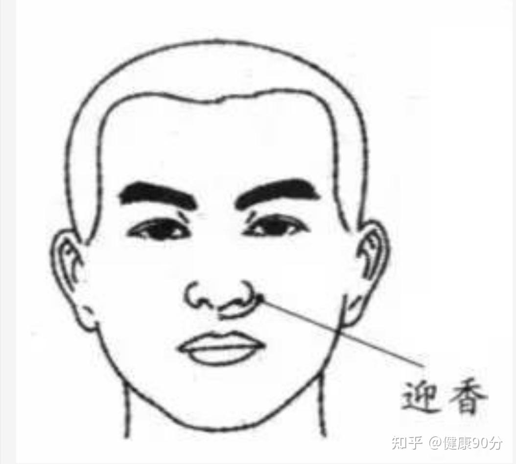 3个穴位助你缓解鼻塞 - 知乎