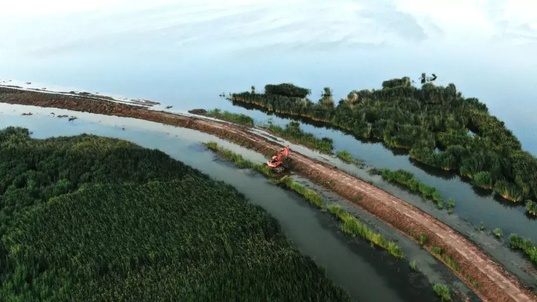 中建一局带你建证全国最大的山水林田湖草沙生态治理项目