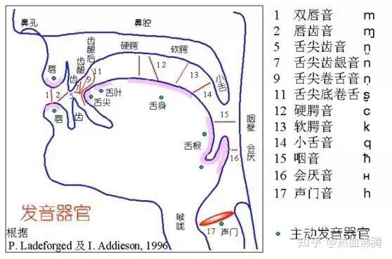 《快板书的基本功》系列之二！曲艺 - 知乎