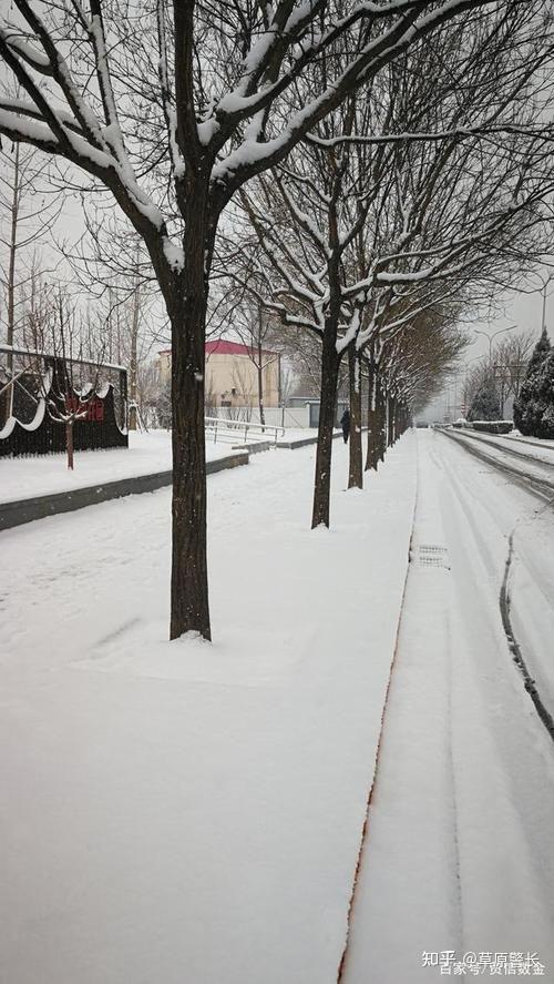 雪後的古城,雪還沒有融化,渾濁的雪水使街道泥濘不堪,街道兩旁的樹木