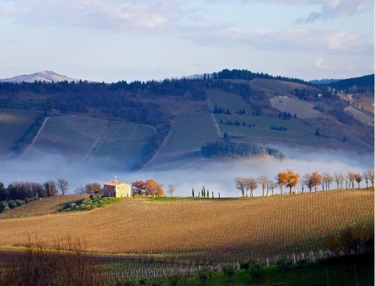 albana docg)保证法定产区的葡萄园分布在艾米利亚-罗马涅大区的弗洛