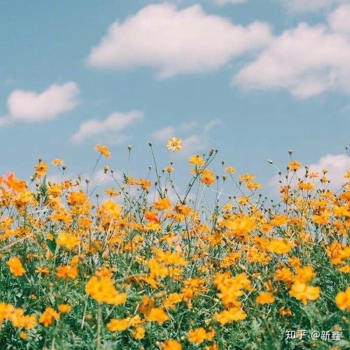 你用过哪些有趣的/有意义的微信朋友圈背景图?