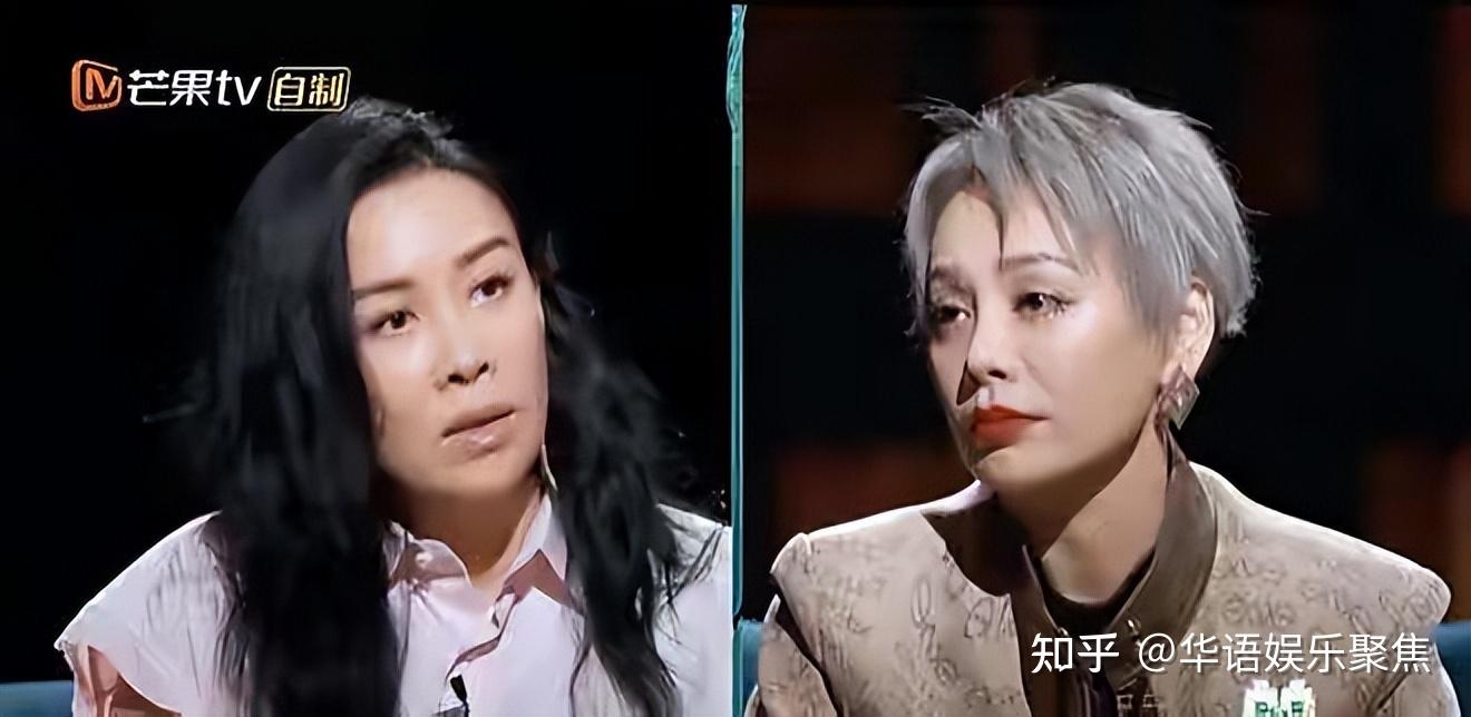 如果让你选你愿意去乘风破浪里的那英组还是宁静组