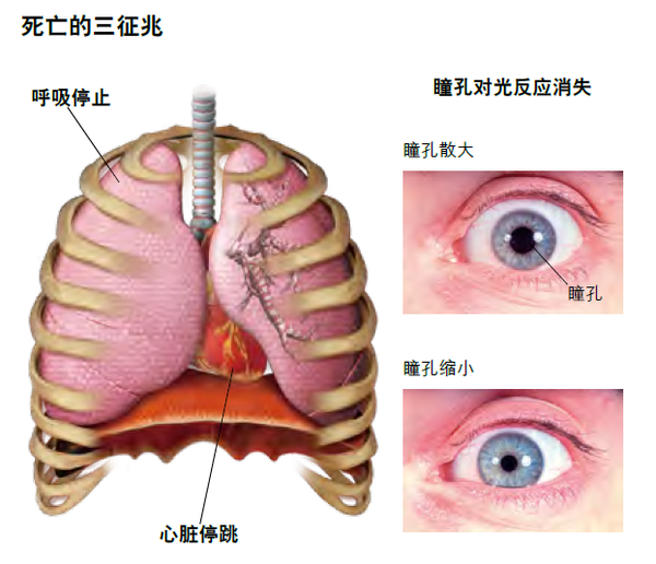 死亡是什么? 知乎