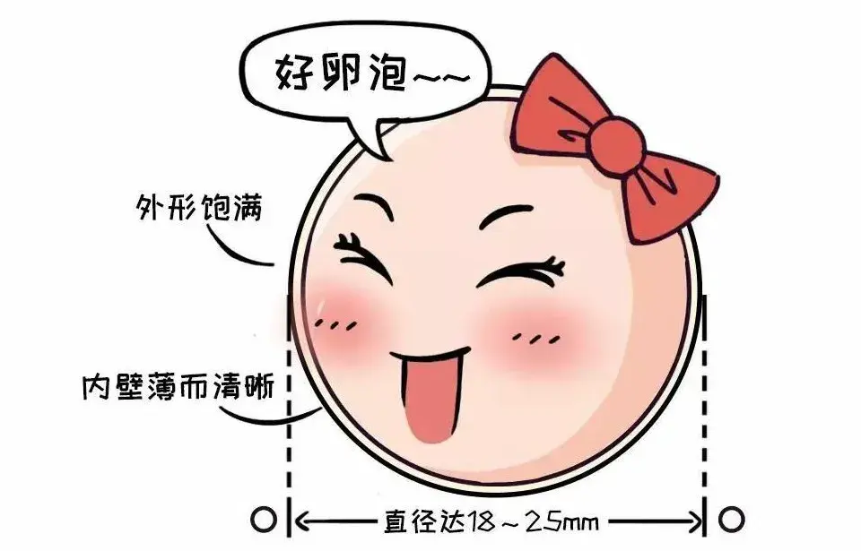 你的卵子质量还好吗