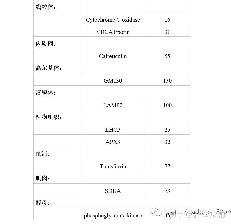 老司机手把手教你选WB内参 - 知乎
