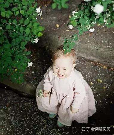 七夕表白手册 最 最最全玫瑰花语 知乎