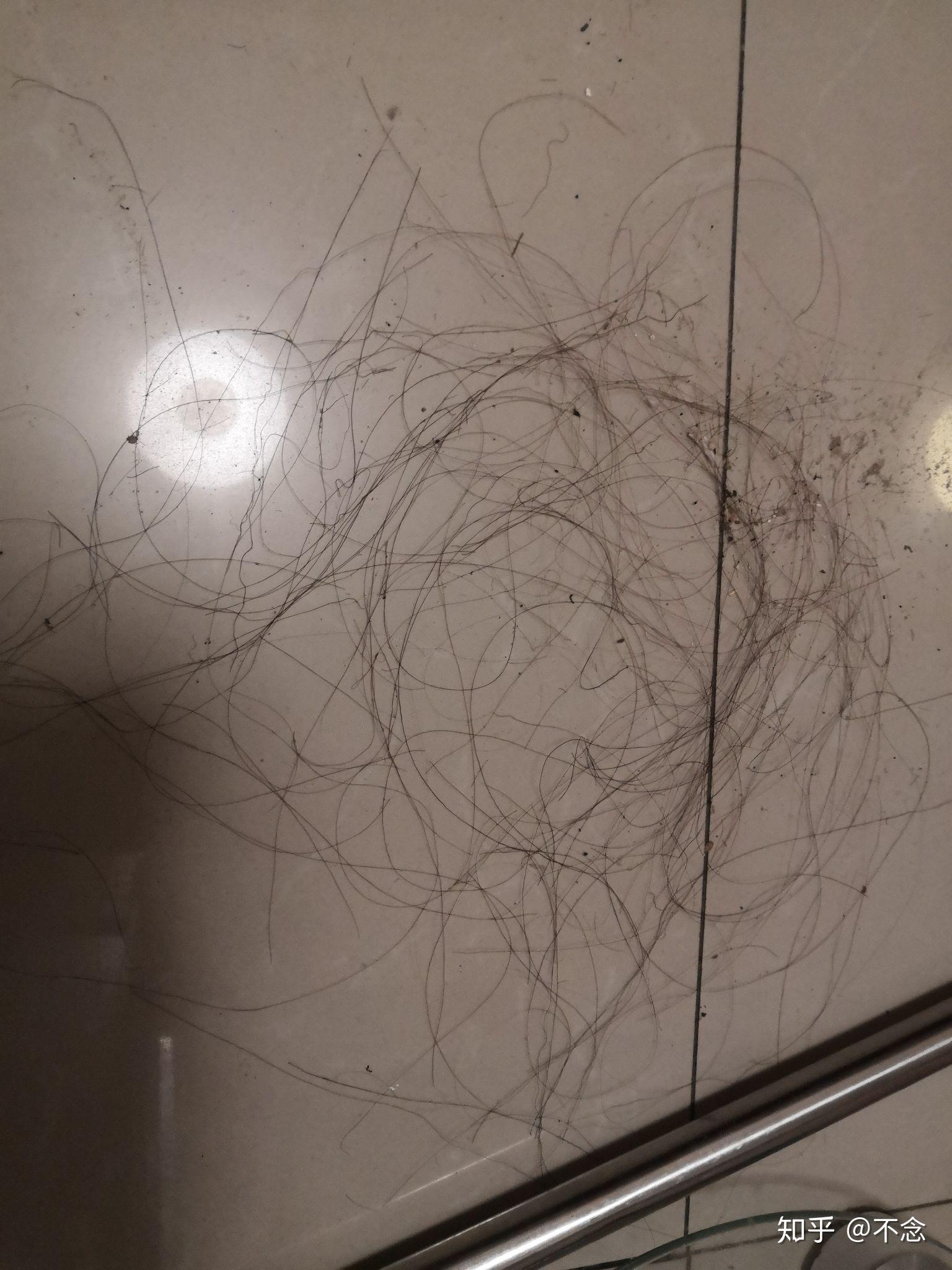 头发烫焦了怎么补救