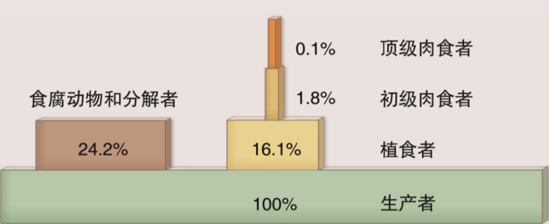 地球上为什么大型猛兽非常稀少? - 知乎