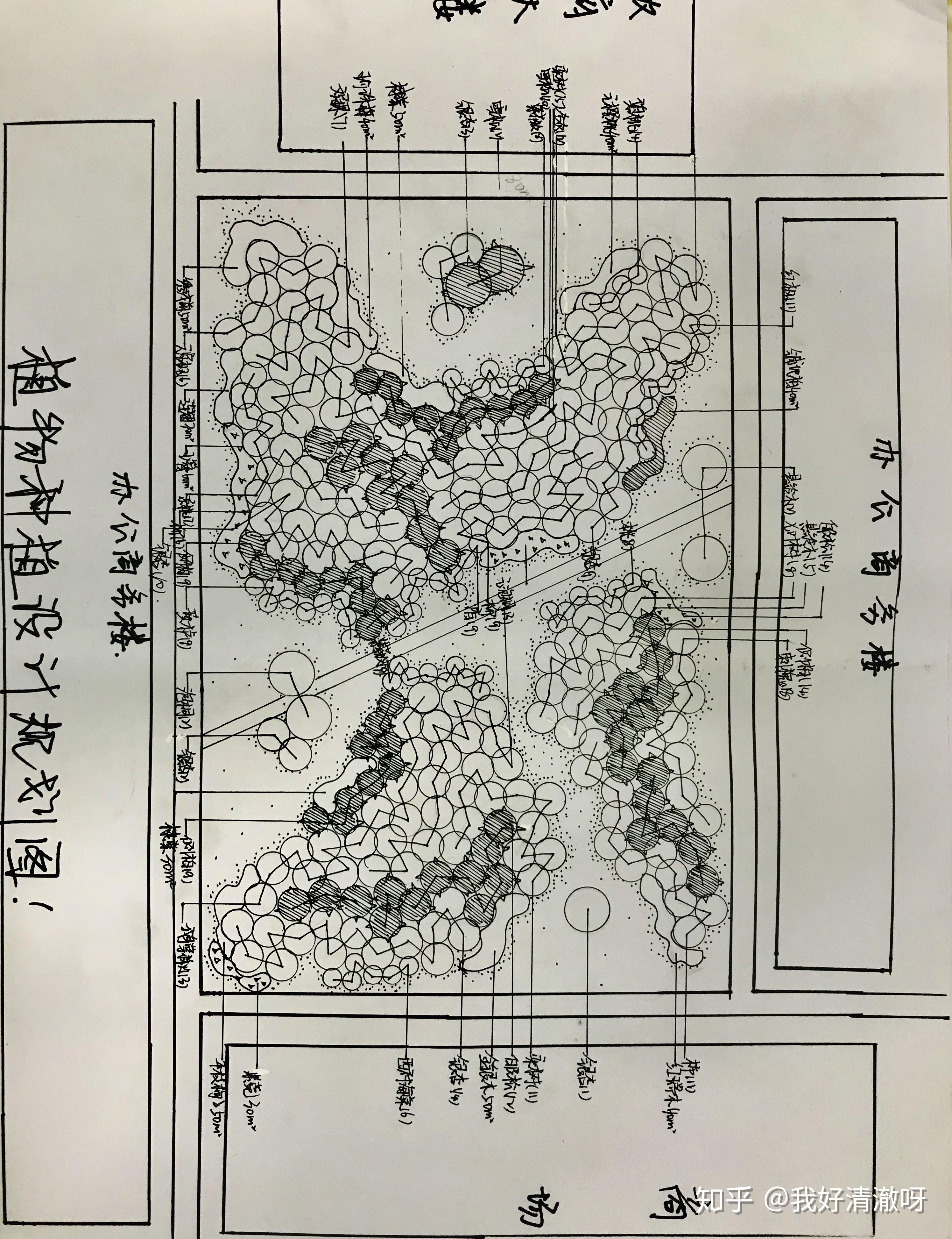 丛植植物配置平面图图片