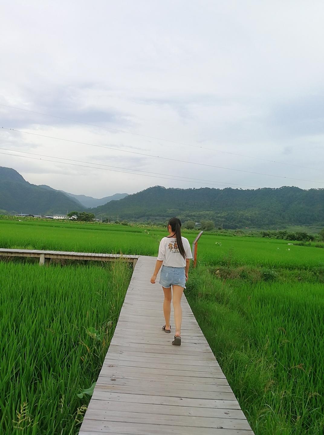 武夷山有什么好玩的?