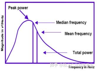 【干货】肌电电极1—神经-肌肉系统在“说话”？一文带你了解肌电电极技术原理及市场！ - 知乎