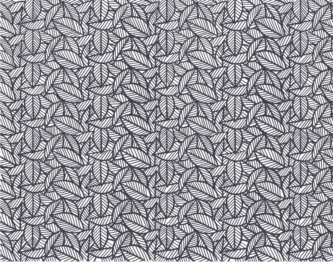 浪花环衬大赏藏在书页中的秘密