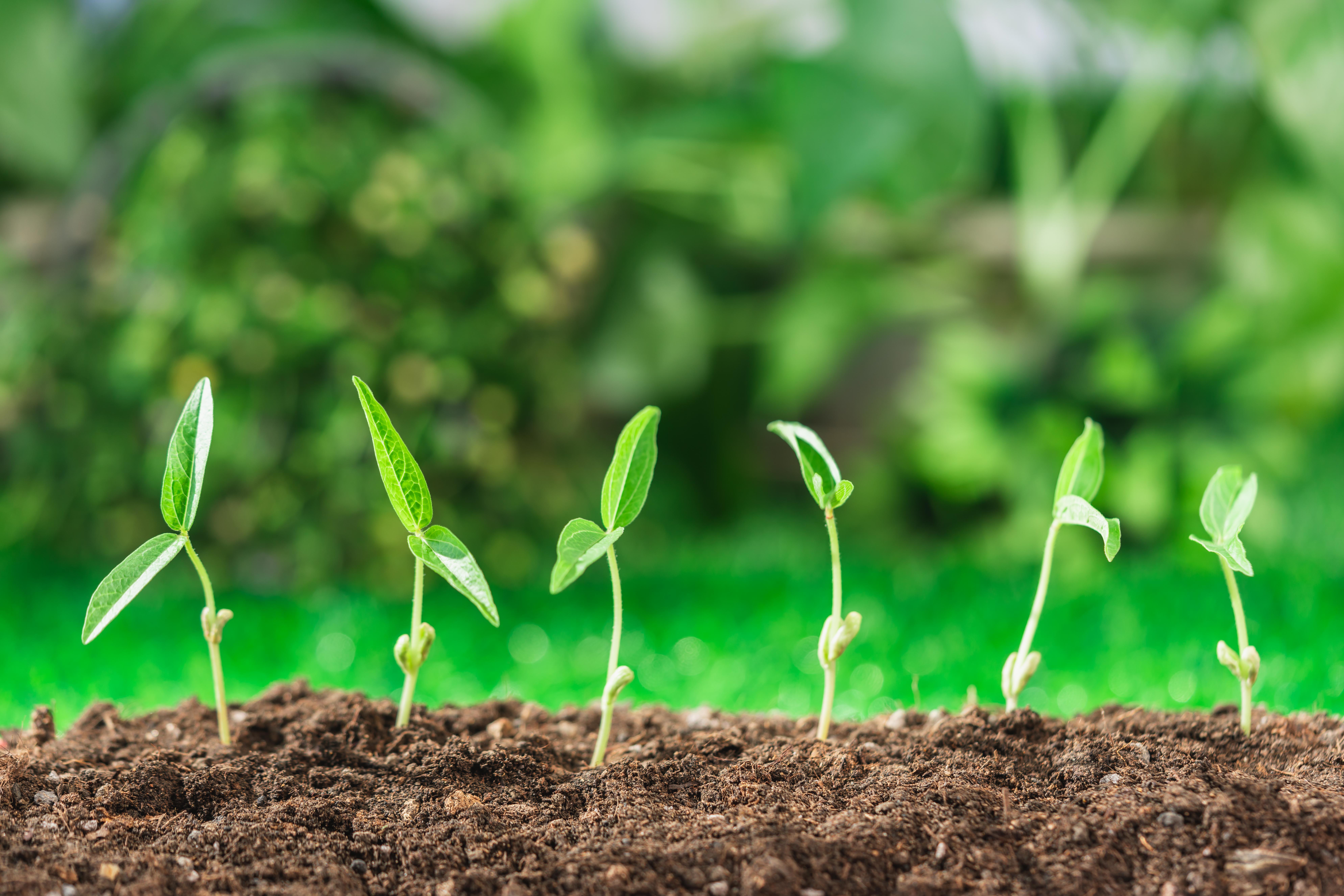 为什么说肥田三年不瘦瘦田三年不肥