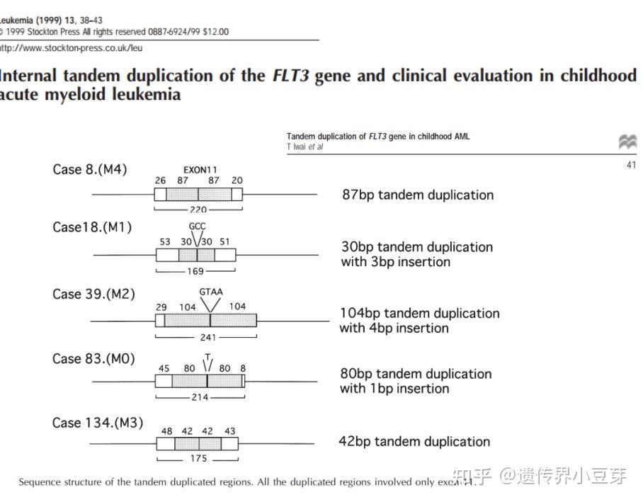 基于ngs检测flt3-itd的判断标准拟定为:发生在flt3基因14,15号外显子