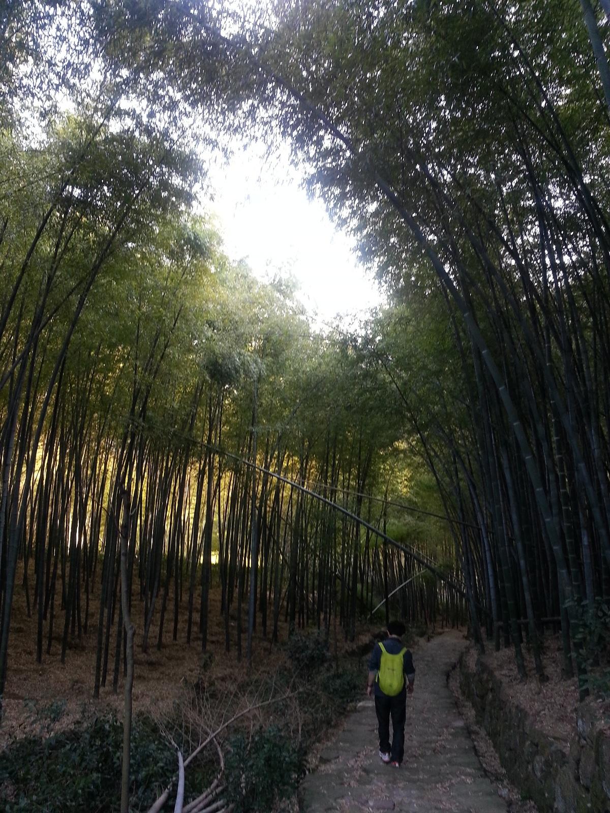 country walk 古城绍兴2 上青古道和大雾尖