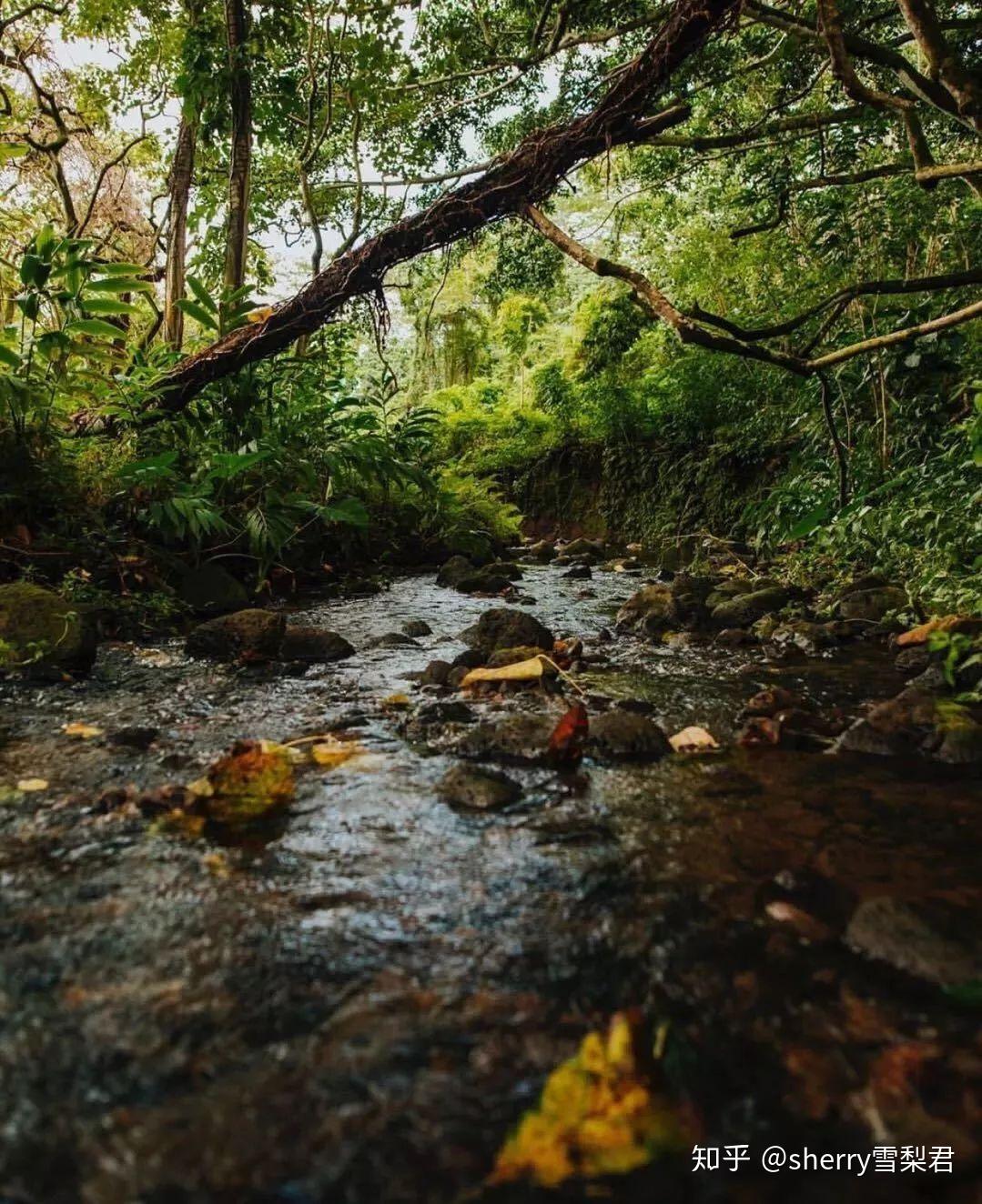 在失落的印加文明和狂野的自然景观中,领略这个南美风情小国的独特魅力