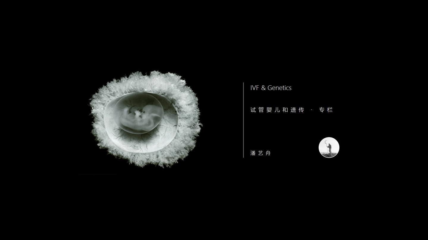 不想说第二遍 关于胚胎嵌合型及其是否可移植的问题 知乎