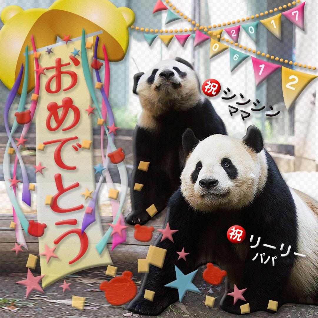 是真爱！东京上野动物园大熊猫产崽 日本网友炸开锅高呼“万岁万岁！” 知乎