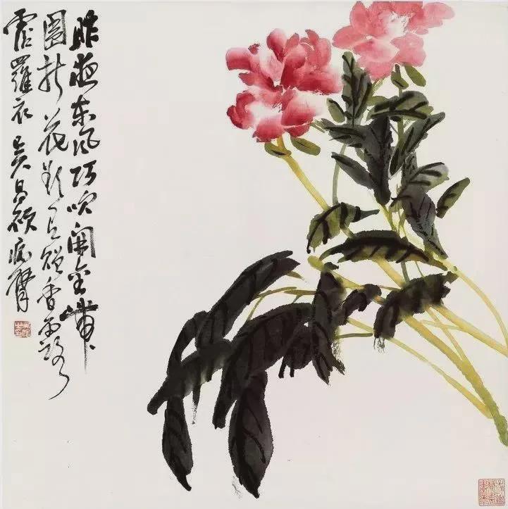 吴昌硕  花卉图 吴昌硕《花卉清供册》，清雅至极- 知乎