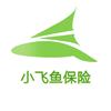 小飞鱼保险