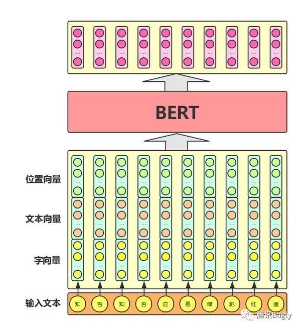 图解bert模型 知乎