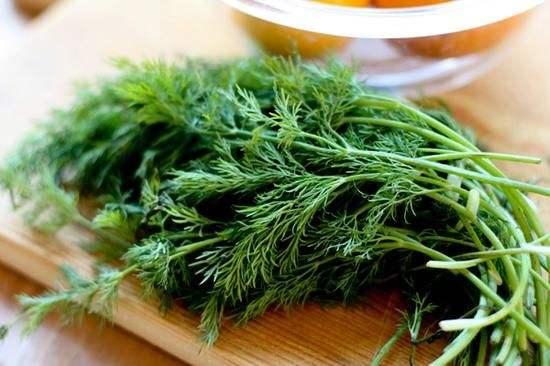 dillseed oil蒔蘿子油dill fruit蒔蘿果(=dill pickle)蒔蘿泡菜蒔蘿子