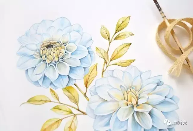 北欧风水彩花卉,拥有森林般的撩人香气