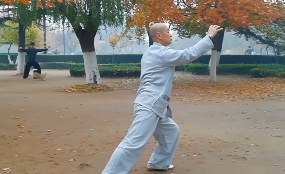 李占英杨式太极拳85式全套演练_标清