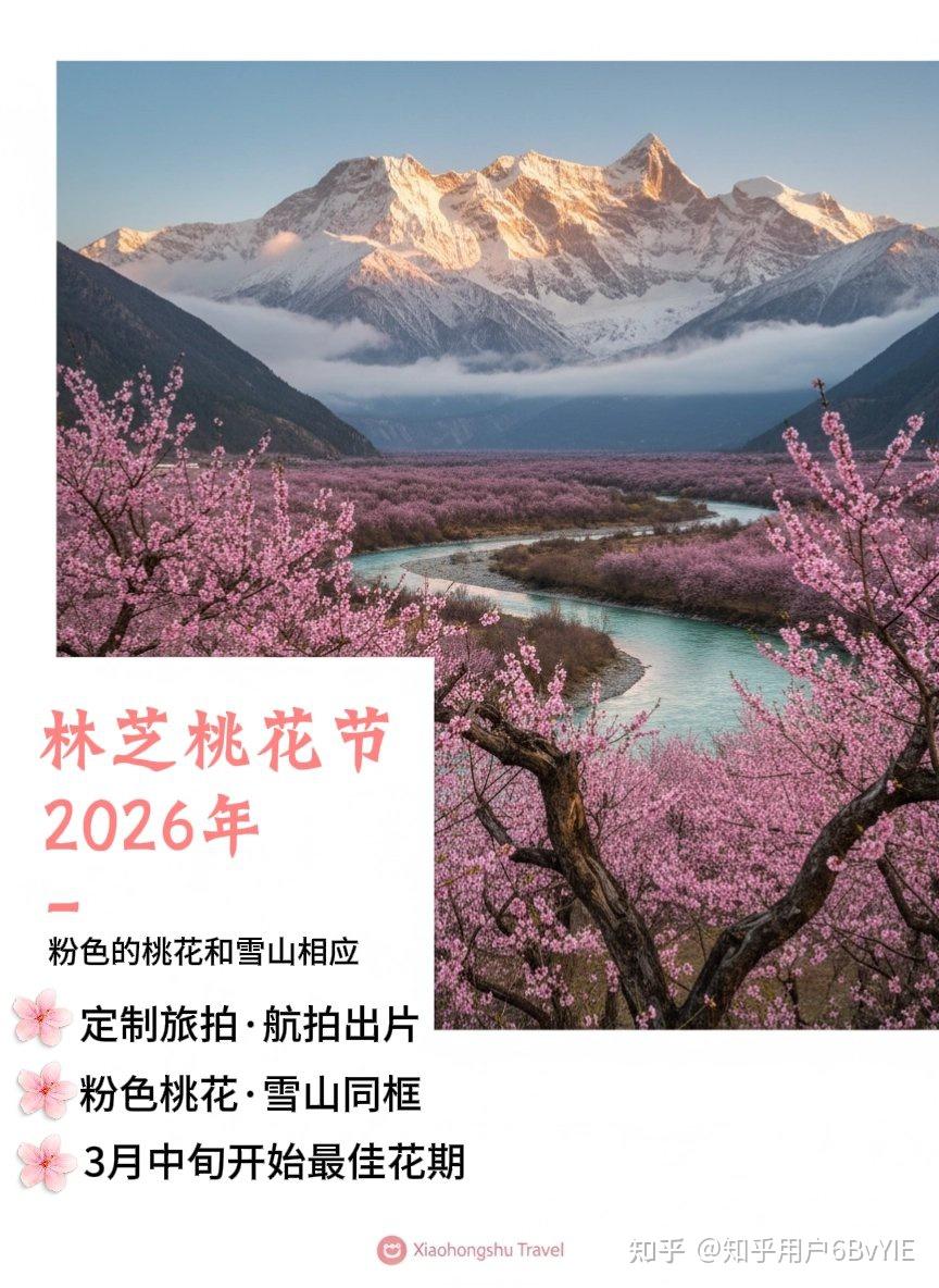 2026林芝桃花节摄影干货!掌握这些机位与万能姿势,随手拍出“人生照片”!