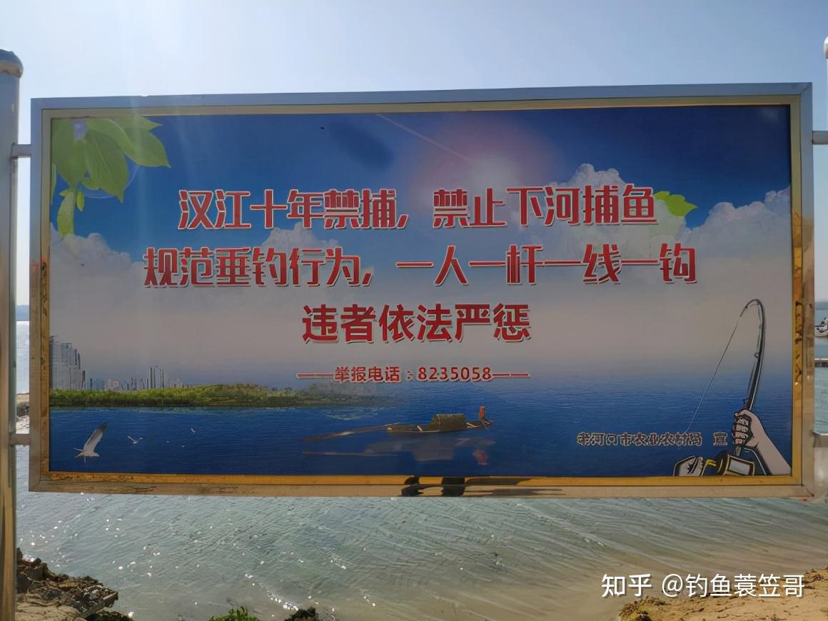 湖南最新禁渔令可钓范围增多处罚减轻这几种行为重罚