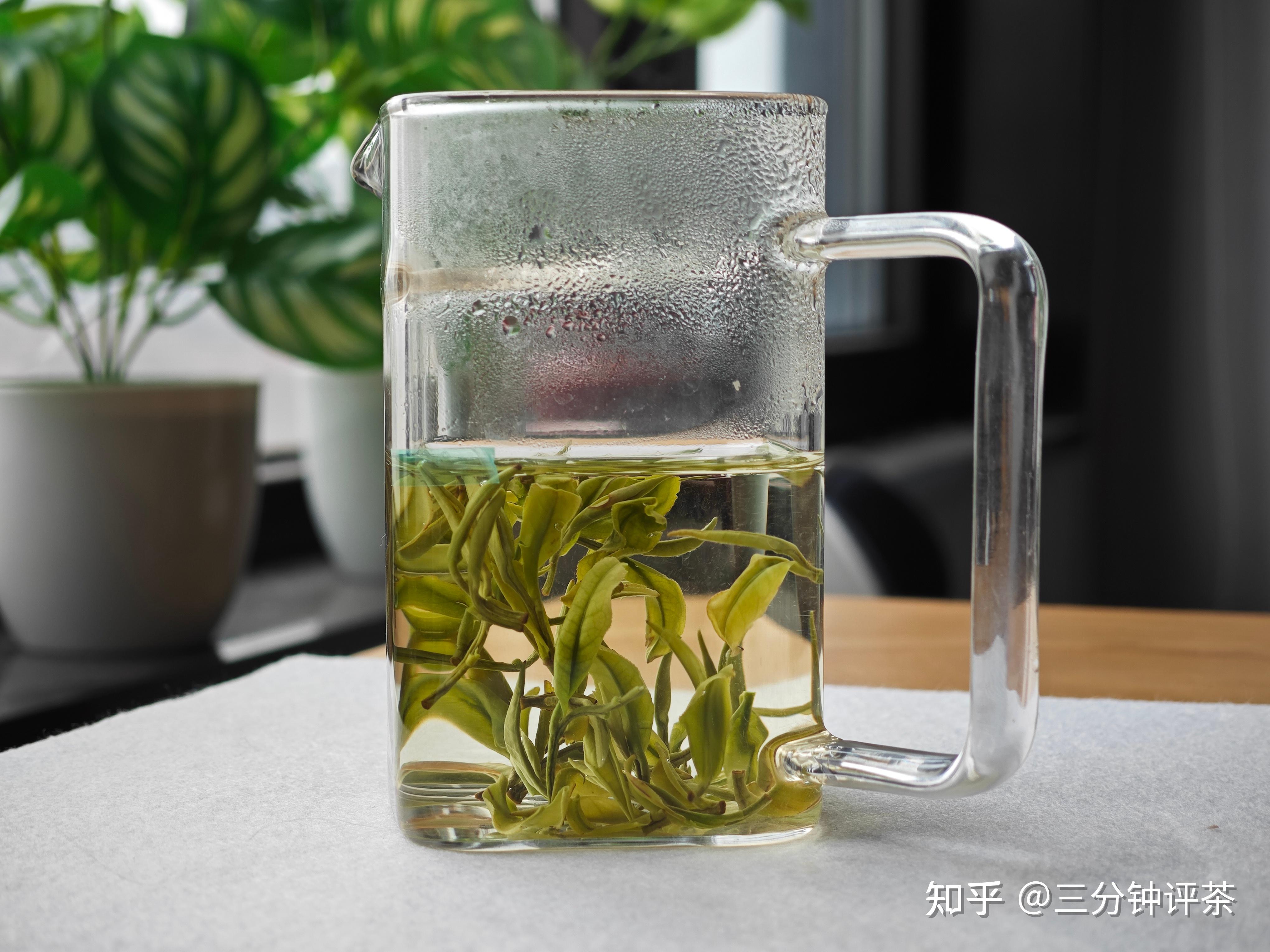 宋茗的安吉白茶怎么样?