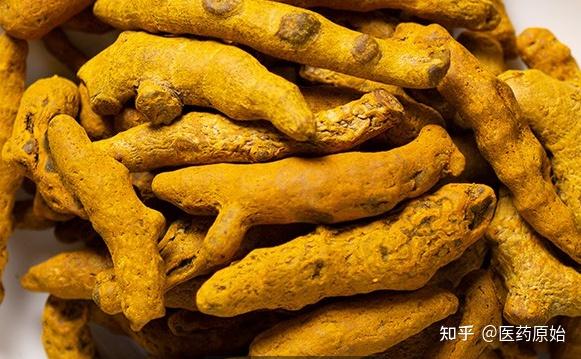 带你识别姜黄 - 知乎