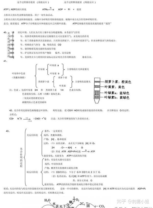 高考复习 生物是80 理科生都不想学的科目 学霸是怎么学好的 知乎