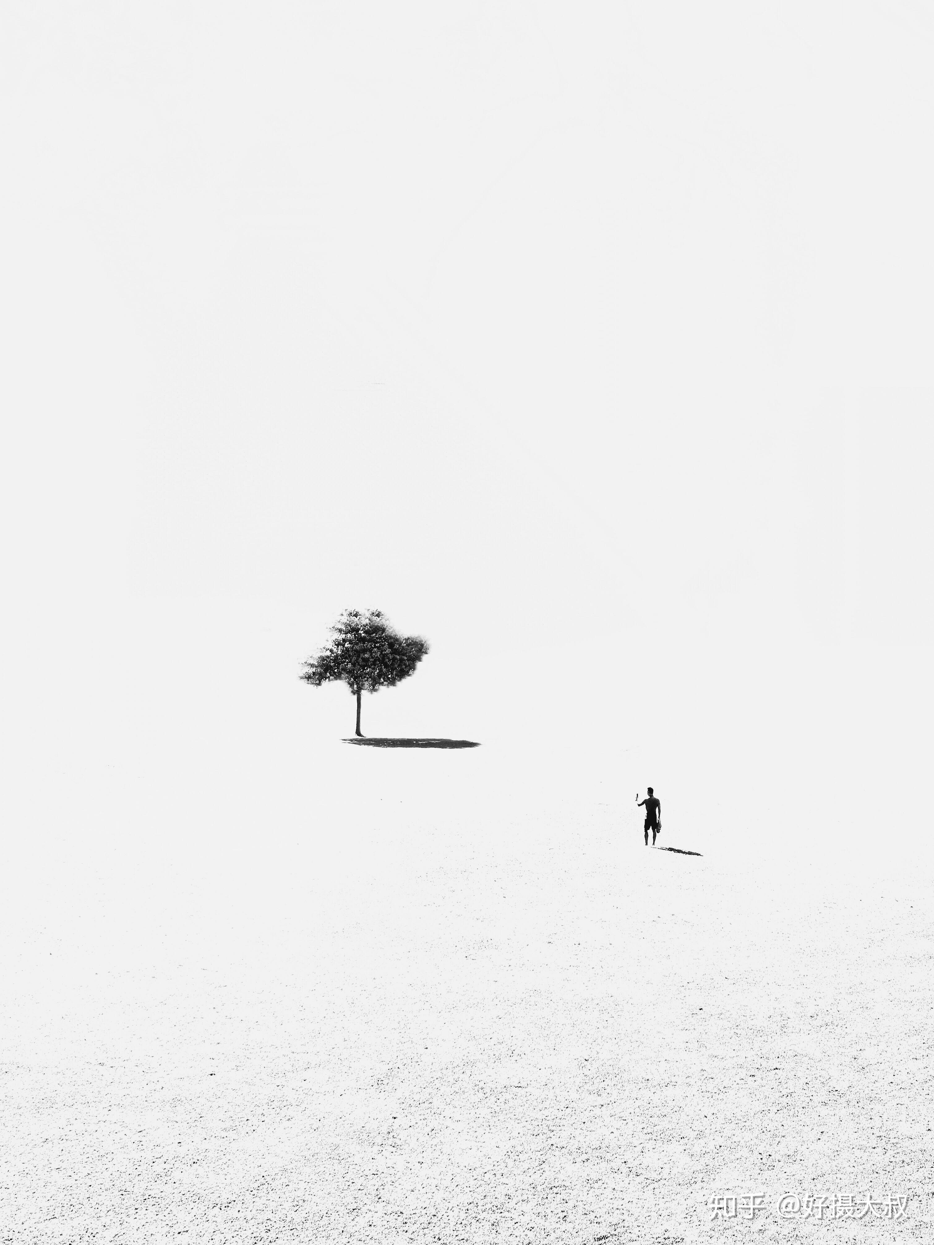 huawei p40 proˉ色彩巧搭营造画面的氛围感 ◢如果说,在极简摄影中