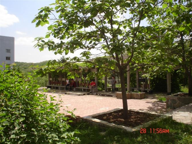 在沈阳市第二十中学读书是一种怎样的体验?