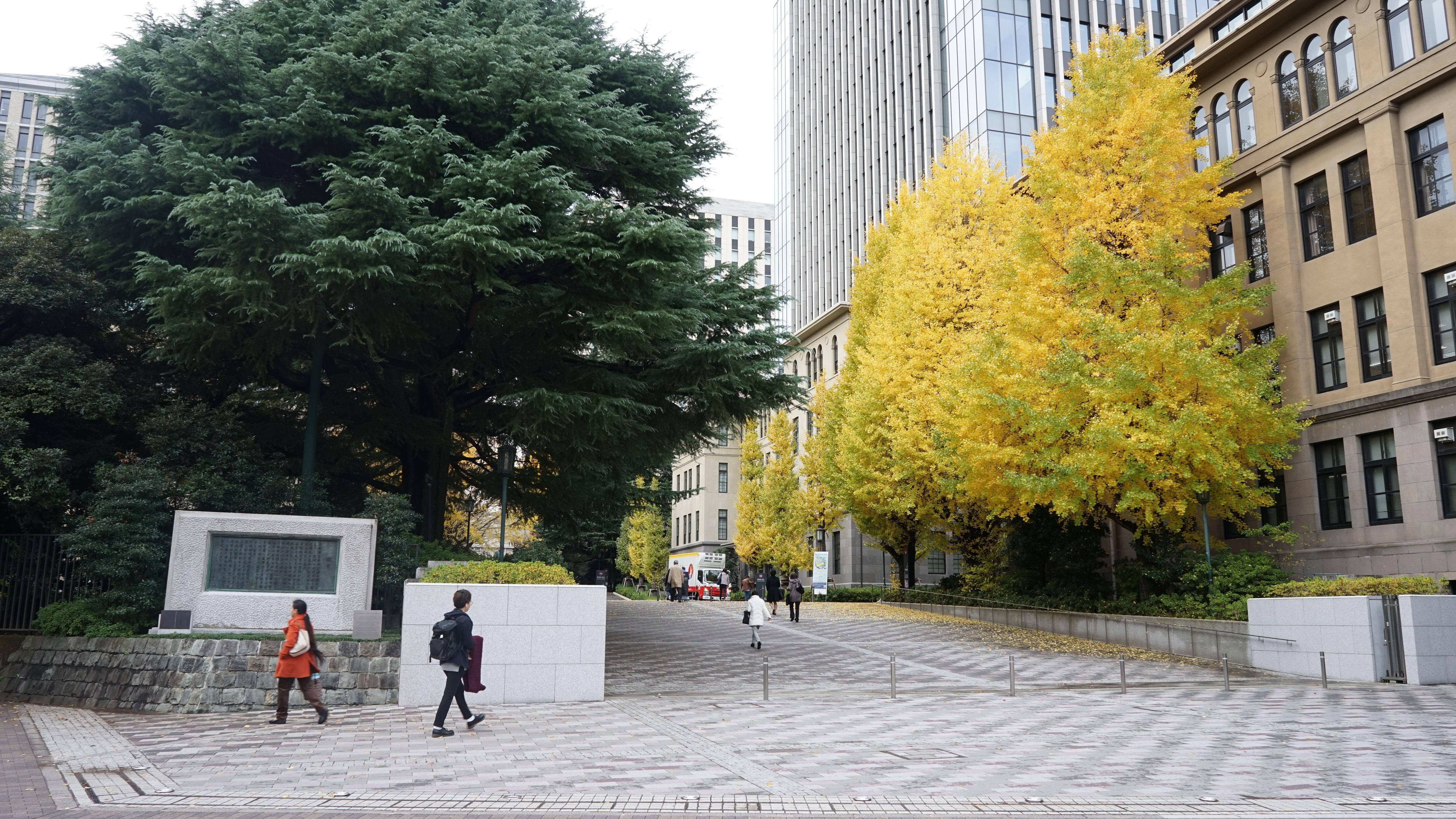 日本名校图鉴东京大学庆应大学与早稻田大学