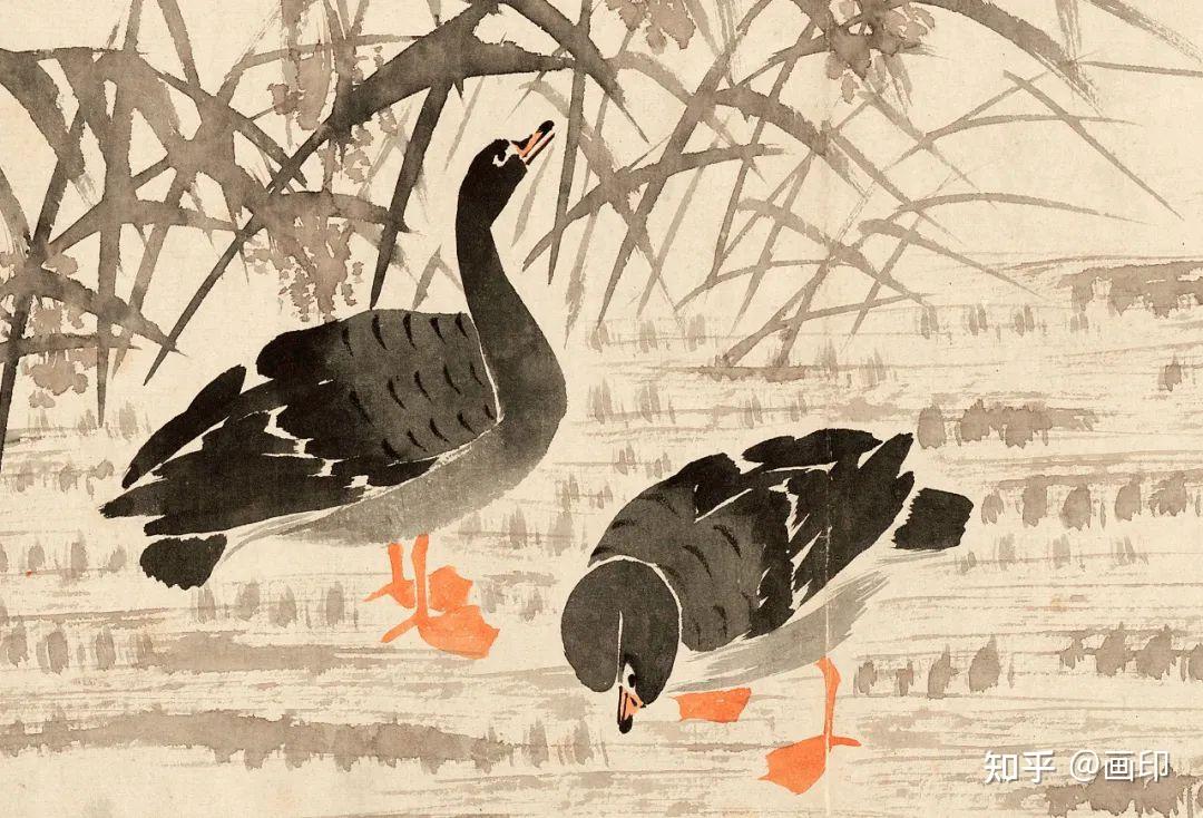 清· 边寿民《芦雁图册》十开 - 知乎