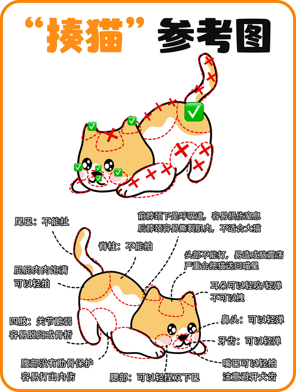 “揍猫”说明书!如何科学地打猫? - 知乎