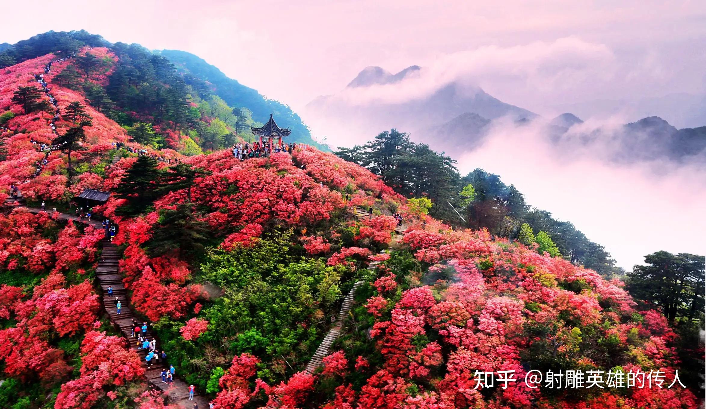 千里挺近大别山图片