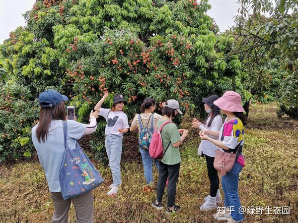 2026中国冲锋衣行业市场：从能穿到好穿再到有态度米兰体育- 米兰体育官方网站-米兰体育APP下载- 助力世界杯